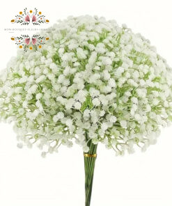 Bouquet fleurs séchées gypsophile